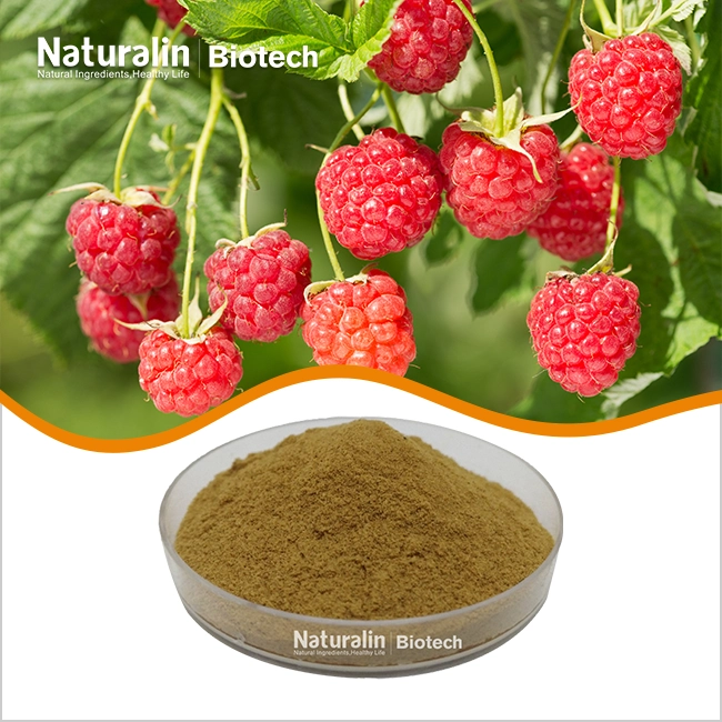 Raspberry Extract Powder